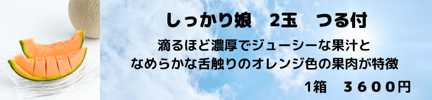しっかり娘