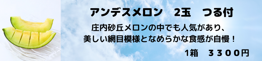 アンデスメロン
