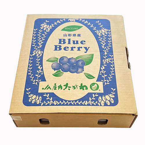 かしわもちさん専用ページ　ブルー JA庄内たがわ ブルーベリー M 100g×8P【同梱不可・日付指定不可