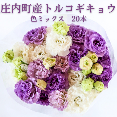庄内町フラワーラボ　トルコギキョウ　生産者おまかせミックス20本【日付指定不可】