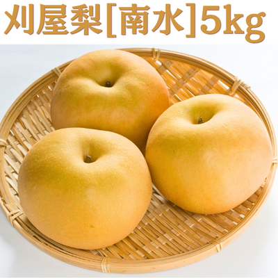 【日付指定不可】山形県庄内産　刈屋の梨　南水　12～14玉(約5kg)