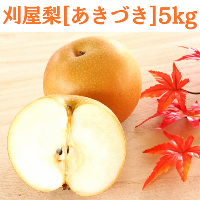 【日付指定不可】山形県庄内産　刈屋梨　あきづき(秋月)　12～14玉(約5kg)