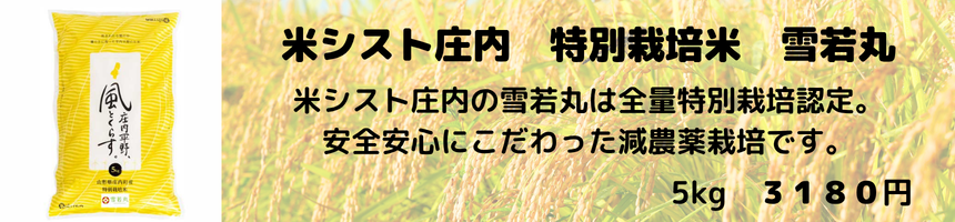 米シスト雪若丸
