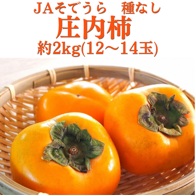 【期間限定】JAそでうら　庄内柿（平核無柿）L～２L／12～14玉（約2キロ）