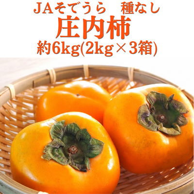 【期間限定】JAそでうら　庄内柿（平核無柿）L～2L／36～42玉（約6キロ）