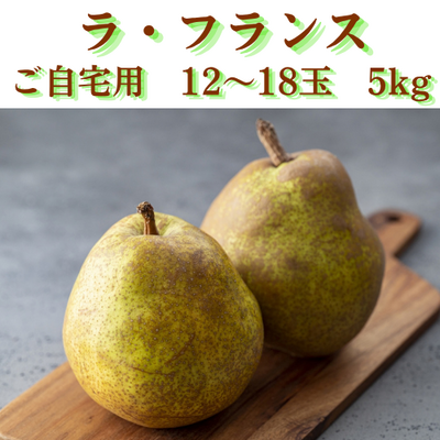 【期間限定】山形県産ラ・フランス　ご自宅用　12～18玉　5kg