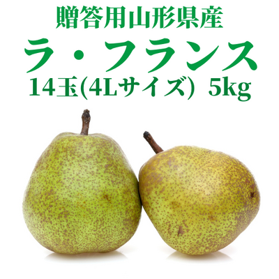 【期間限定】山形県産ラ・フランス　14玉(4Lサイズ)　5kg