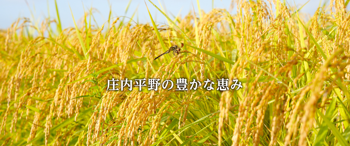 庄内平野の豊かな恵み