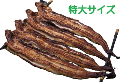特大サイズ】本焼き穴子 ４尾１串【当日朝焼き】