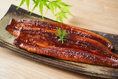 愛知・三河産 うなぎ蒲焼 二尾(無頭)