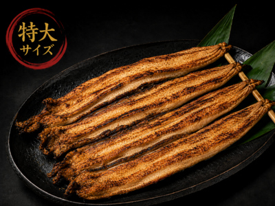 特大サイズ】本焼き穴子 ４尾１串【当日朝焼き】