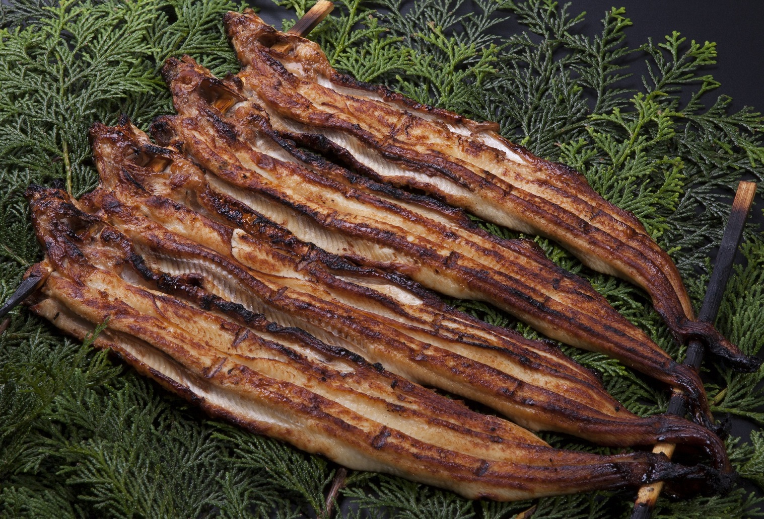 当日焼き上げ】本焼き穴子〔大サイズ〕4尾1串 | 樽屋五兵衛ネット