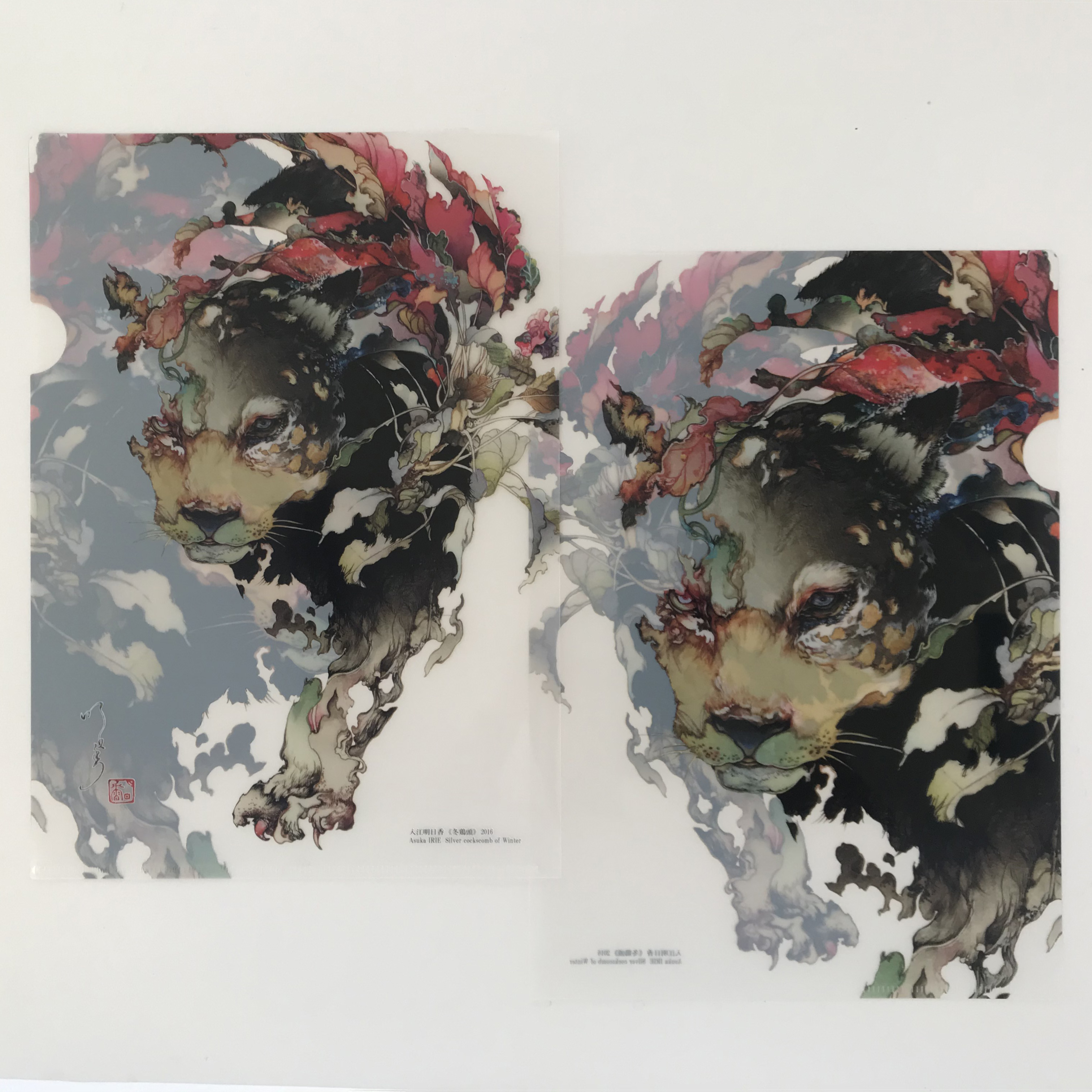 入江明日香 クリアファイル 冬鶏頭 ｓｈｏｕｒｏｏｍ