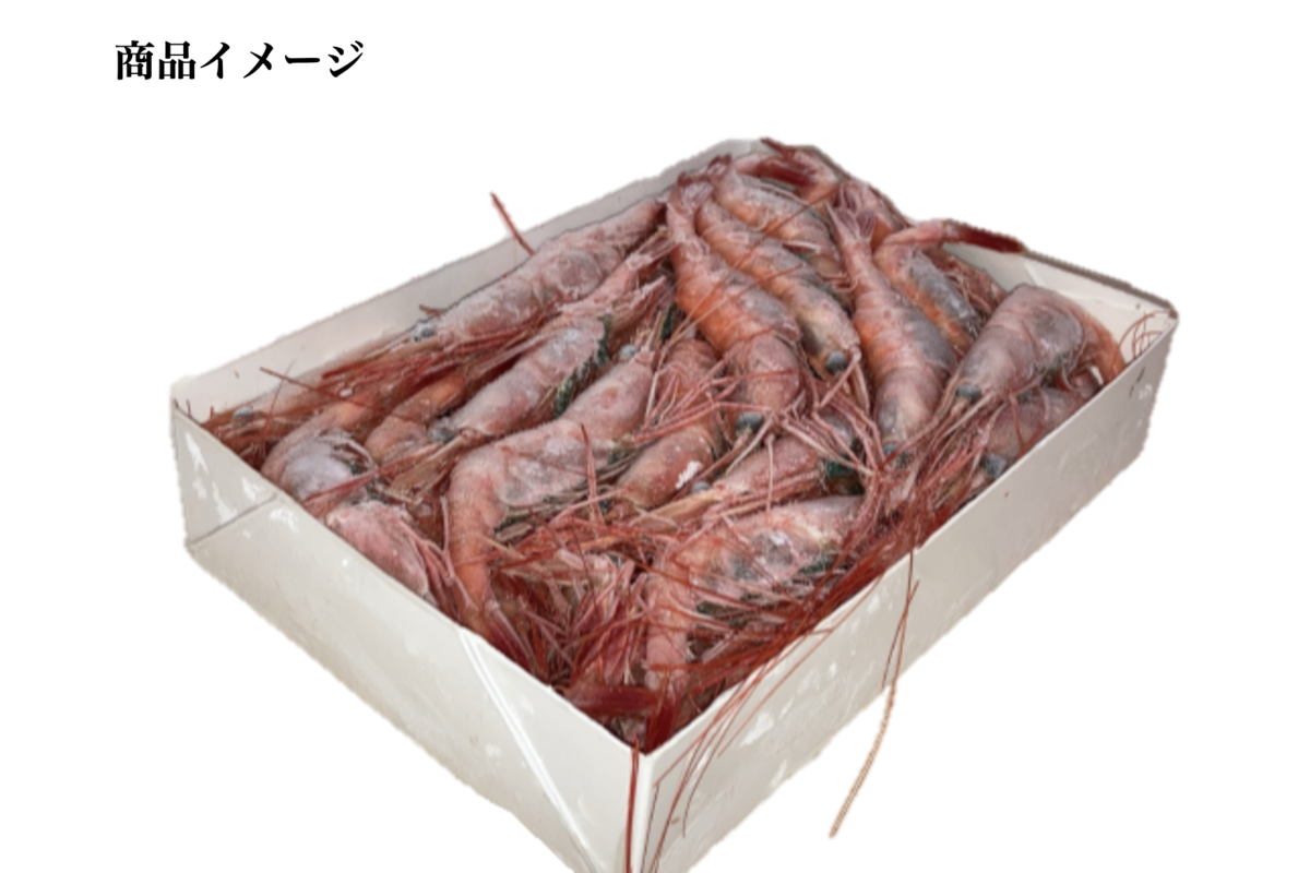 冷凍甘えび2L 1kg | 米川水産株式会社