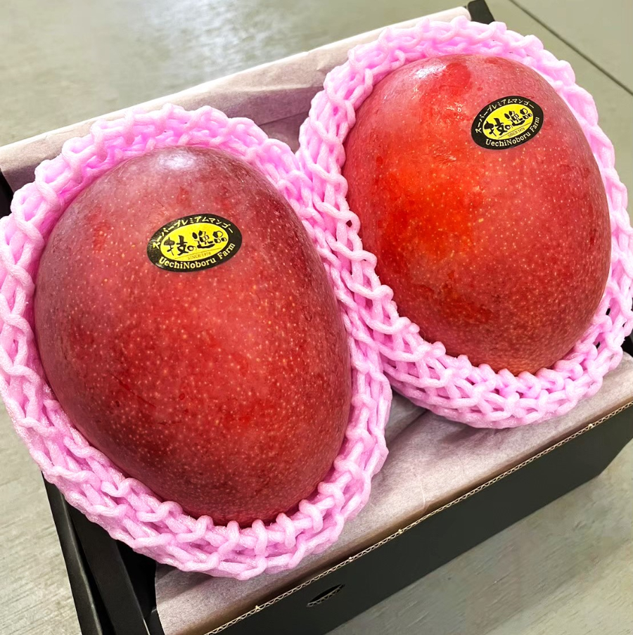 スーパープレミアムアップルマンゴー1Kg | ユートピアファーム宮古島