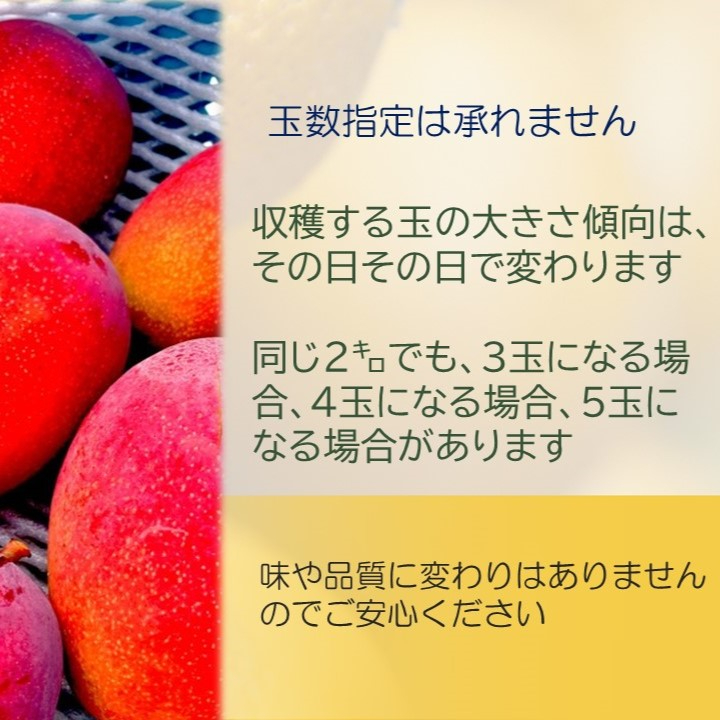 ゆーま　グレープ　マンゴー スリクソン ZX Mk II ユーティリティ Diamana ZX-II for UTILITY