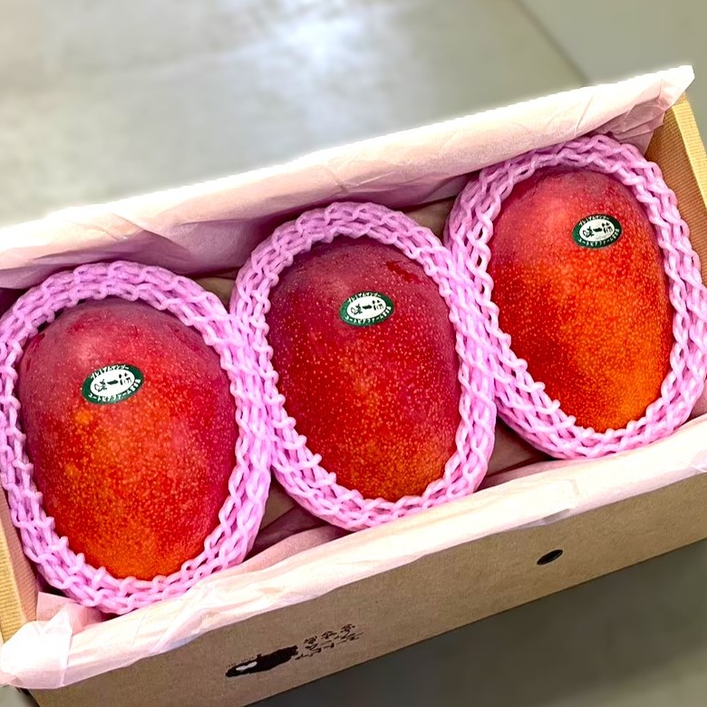 プレミアムアップルマンゴー1.5Kg | ユートピアファーム宮古島