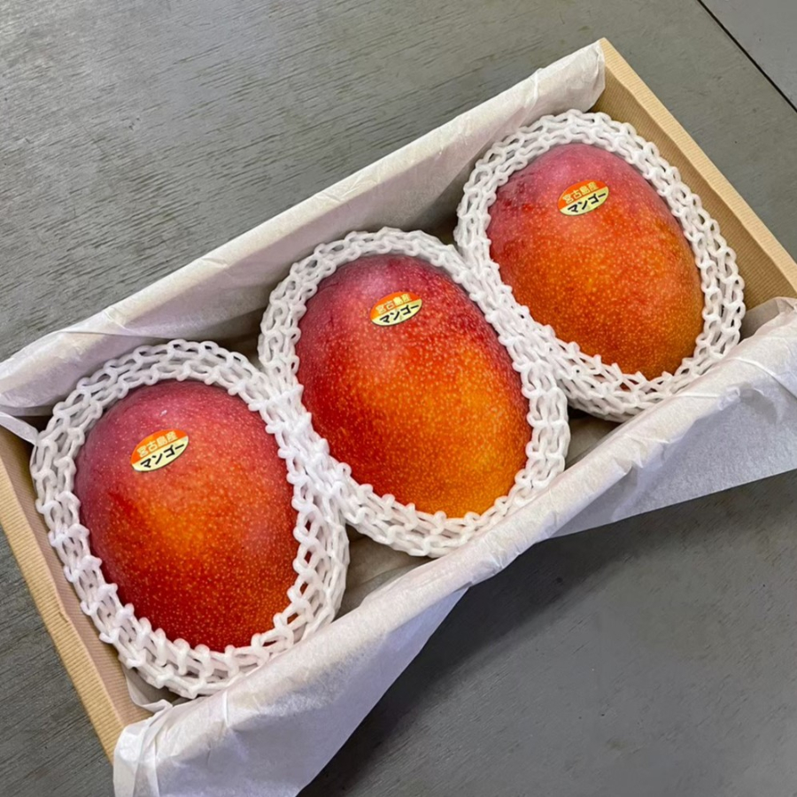 レギュラーアップルマンゴー1.5Kg | ユートピアファーム宮古島