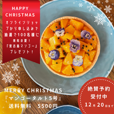 送料無料！Christmas限定！マンゴータルト　5号サイズ