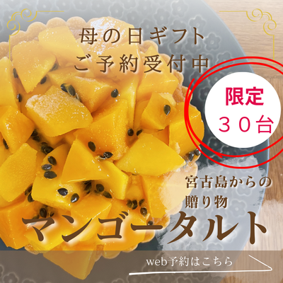 母の日ギフト！マンゴータルト　限定30台　４号サイズ（２～３人前）