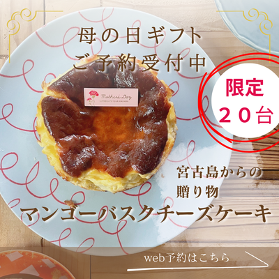 母の日ギフト！マンゴー「生」バスクチーズケーキ4号サイズ（２～3人前）　限定20台