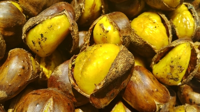 岡山甘栗の焼き栗(200gx2袋）　　　