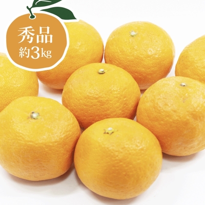 幻の春みかん　カラマンダリン　　　　　　秀品 約3キロ