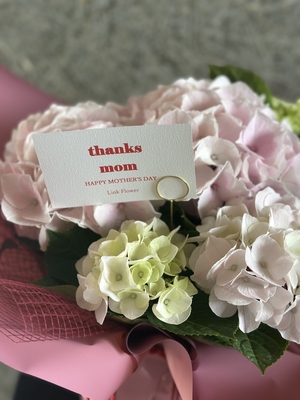 &rdquo;Link　Flower&rdquo;　紫陽花鉢