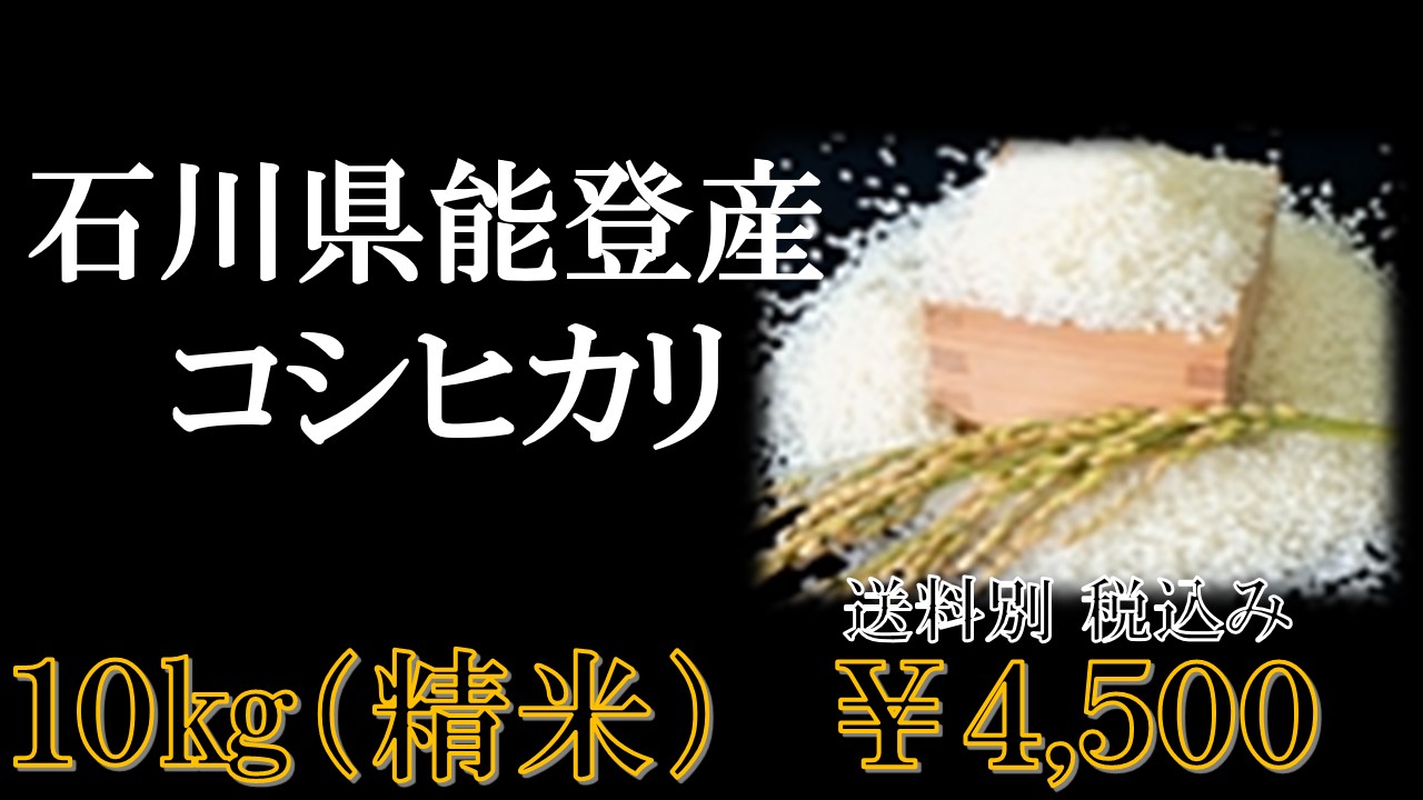 石川県能登産コシヒカリ精米10kg | とり鍋みそ本舗 川森食品