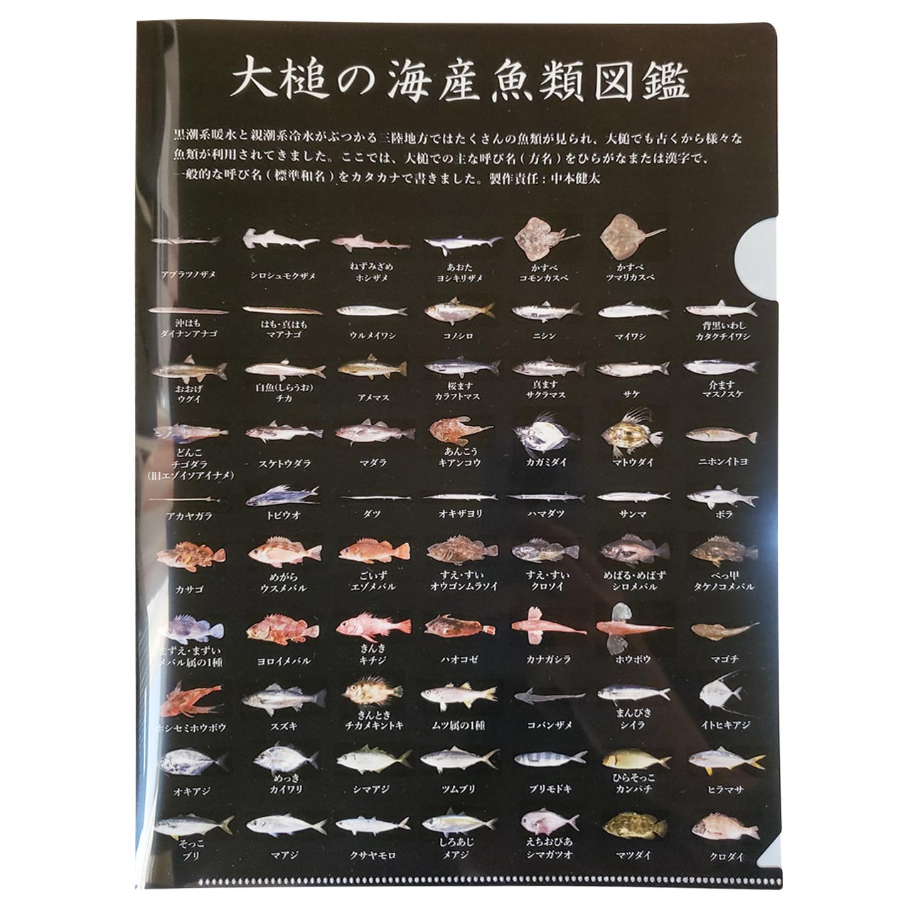 あぶらめ丸の大槌お魚クリアファイル 大槌孫八郎商店