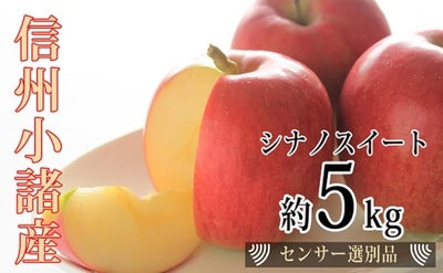 シナノスイート5キロ　赤秀