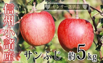 サンふじ5キロ　赤秀