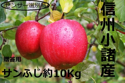 サンふじ10キロ　赤秀