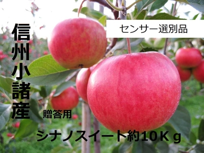 シナノスイート10キロ　赤秀