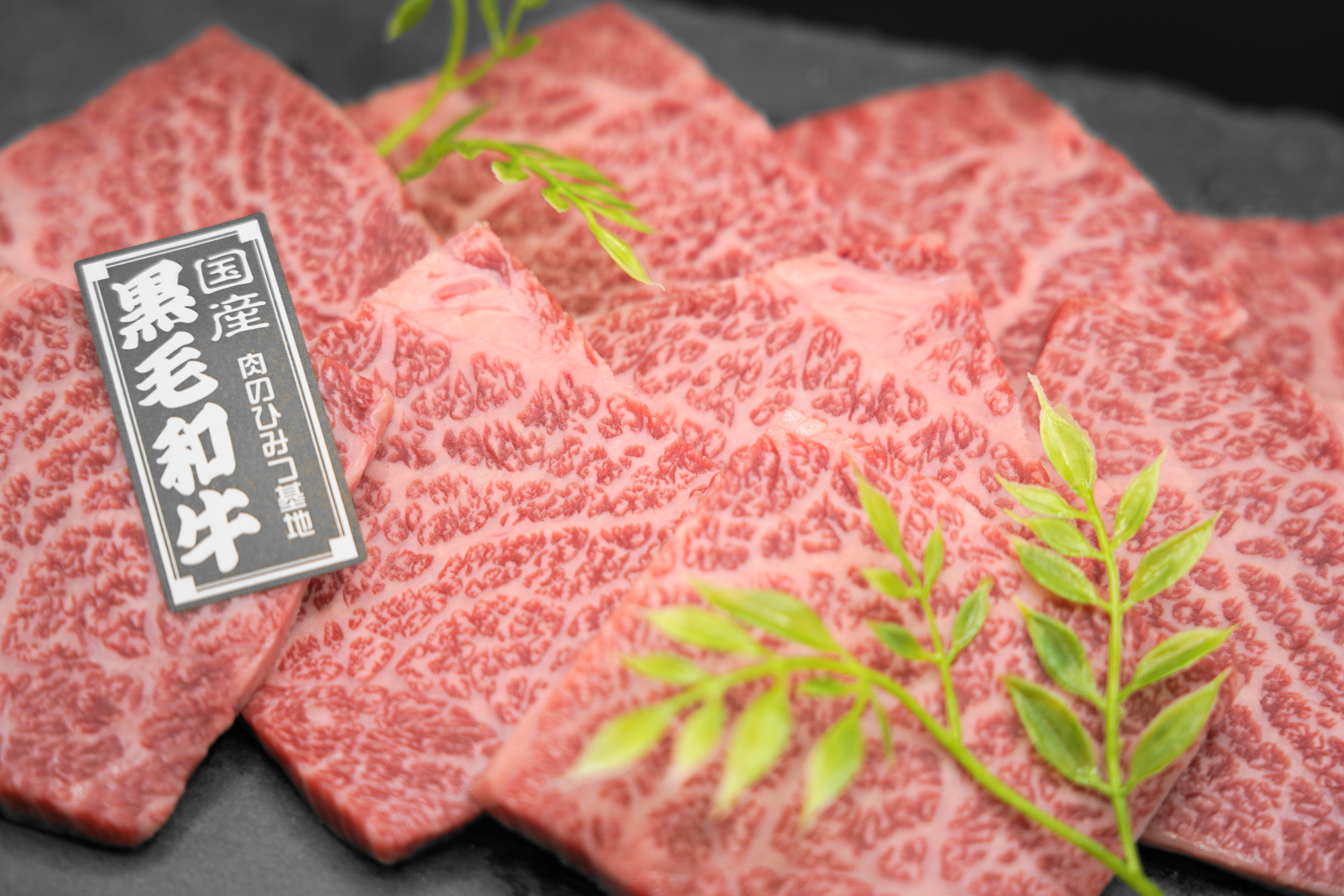 黒毛和牛 ざぶとん 焼肉 肉のひみつ基地 博多