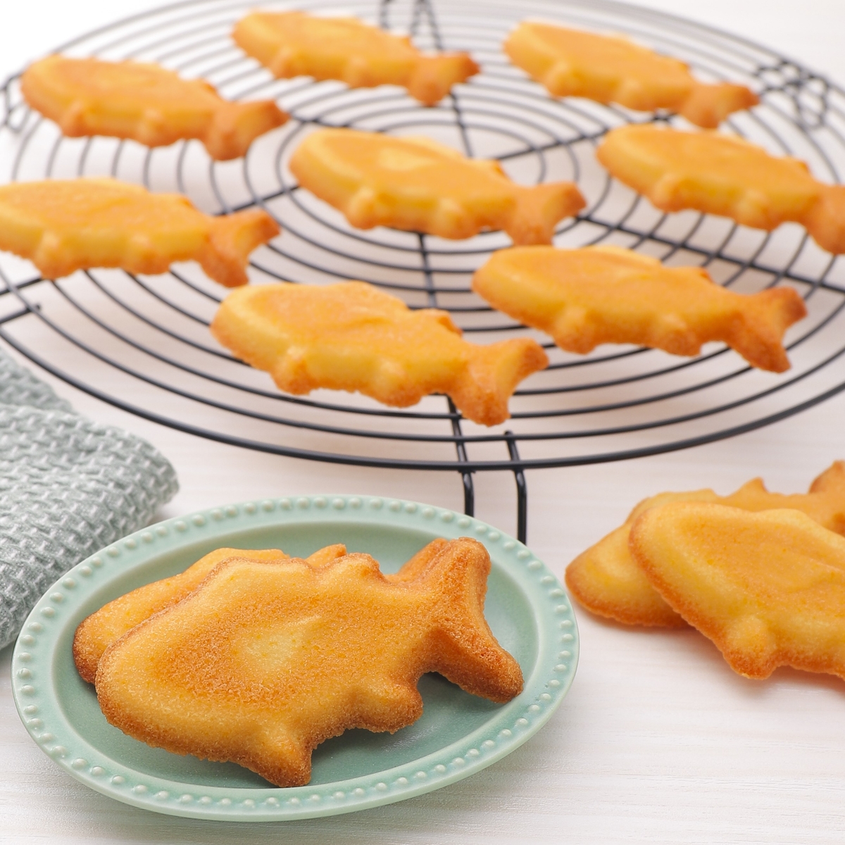  SELANGOR 魚の菓子器 直径約20cm 竹原製缶 魚焼き網 ガス火専用 セラグリル クロスL （ Siセンサー対応