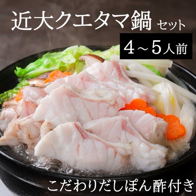 近大クエタマ鍋セット1kg（冷凍）/高級魚クエ×タマカイの新魚種【配送料無料※一部地域除く】