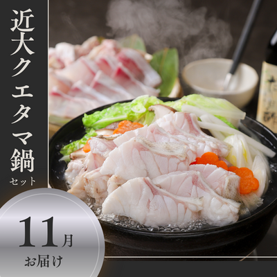 【11月出荷】近大クエタマ鍋セット(冷凍)/高級魚クエ&times;タマカイの新魚種/送料込※一部地域除く