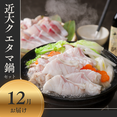 【12月お届け】近大クエタマ鍋セット(冷凍)/高級魚クエ&times;タマカイの新魚種/送料込※一部地域除く