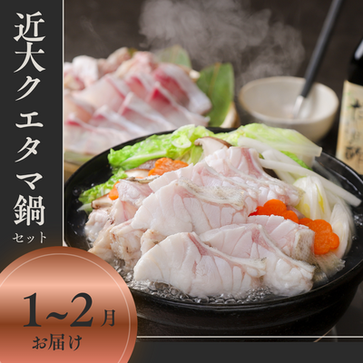 【1～2月お届け】近大クエタマ鍋セット(冷凍)/高級魚クエ&times;タマカイの新魚種/送料込※一部地域除く