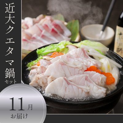 【11月お届け】近大クエタマ鍋セット(冷凍)/高級魚クエ&times;タマカイの新魚種/送料込※一部地域除く