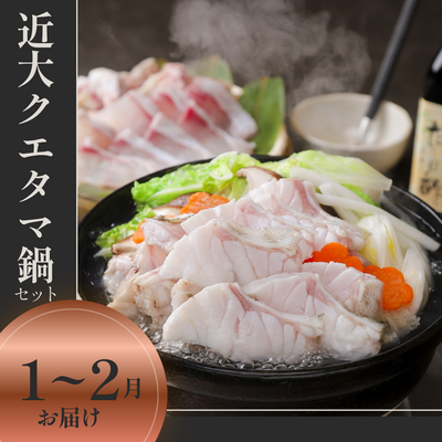 【1～2月お届け】近大クエタマ鍋セット(冷凍)/高級魚クエ&times;タマカイの新魚種/送料込※一部地域除く
