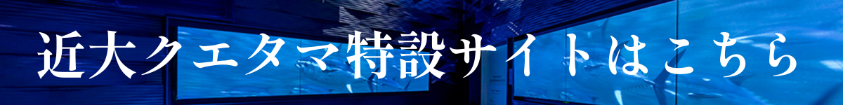 近大クエタマ特設サイトはこちら