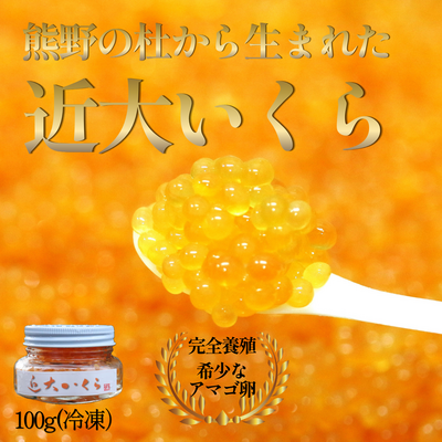 熊野の杜から生まれた近大いくら（冷凍）