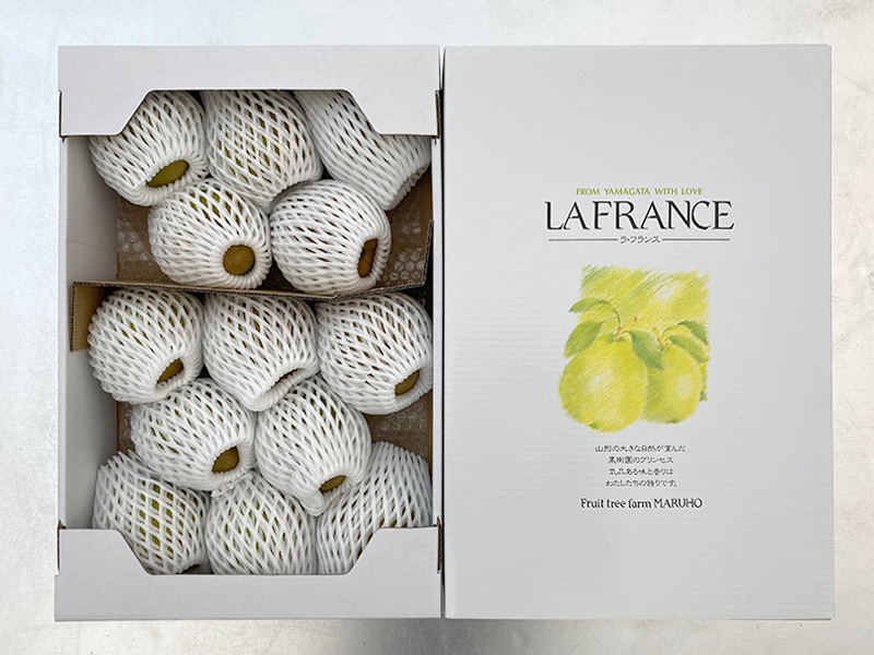 マルジン　ファットラボ　ハニタス5個セット ラ・フランス 特選（4L） 5kg（13～14玉） | マルホ観光果樹園