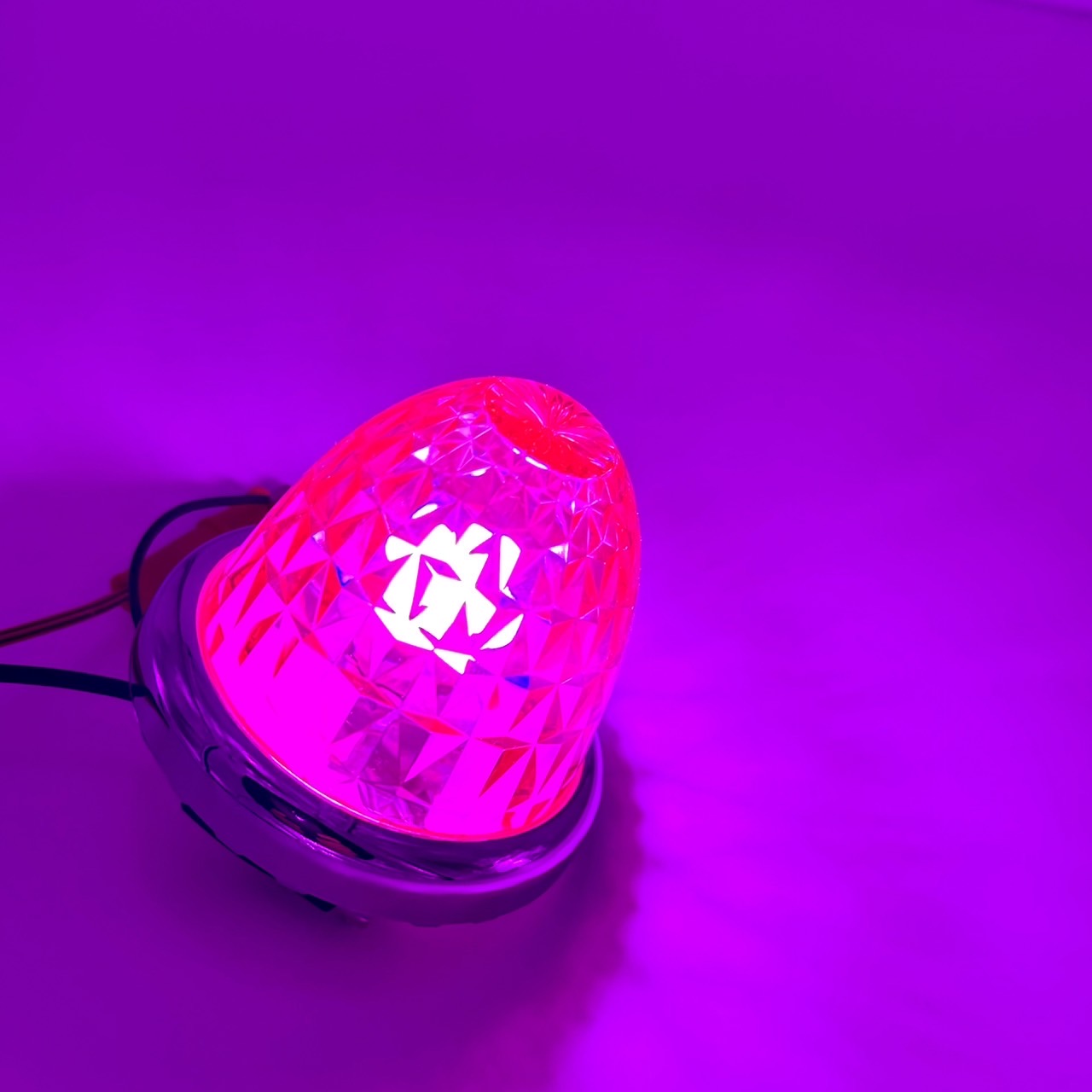 絆×竹村商会【LEDマーカー12/24V共用】ルーセントバルブ入り 