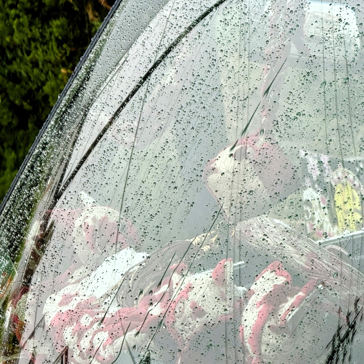 新ボトル！【ころころ大魔王 30ml】フロントガラス専用コーティング