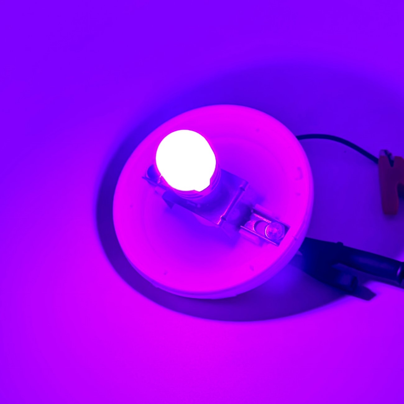 ルーセントバルブプラスピンク 