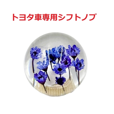 【丸型水中花シフトノブ54ｍｍΦ　8×1.25　トヨタ車専用】珍しくて可愛い丸型水中花仕様（ブルー）