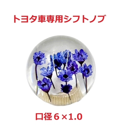 【丸型水中花シフトノブ54ｍｍΦ　6×1.0　トヨタ車専用】珍しくて可愛い丸型水中花仕様（ブルー）